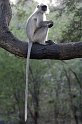 raj07-02-17_093
