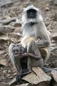 raj07-02-17_097