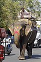 raj07-02-27_077
