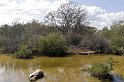 repdom14-01-23_017