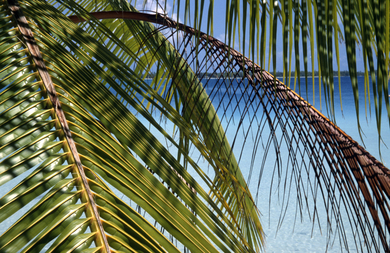 pol05_0154m.jpg - Tuamotu, Takapoto le lagon