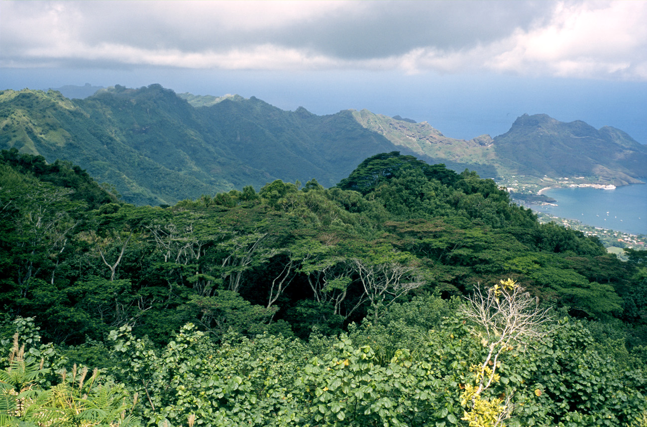 pol05_0284l.jpg - Iles Marquises, Nuku Hiva vue de la baie de Taiohae depuis le col Muake