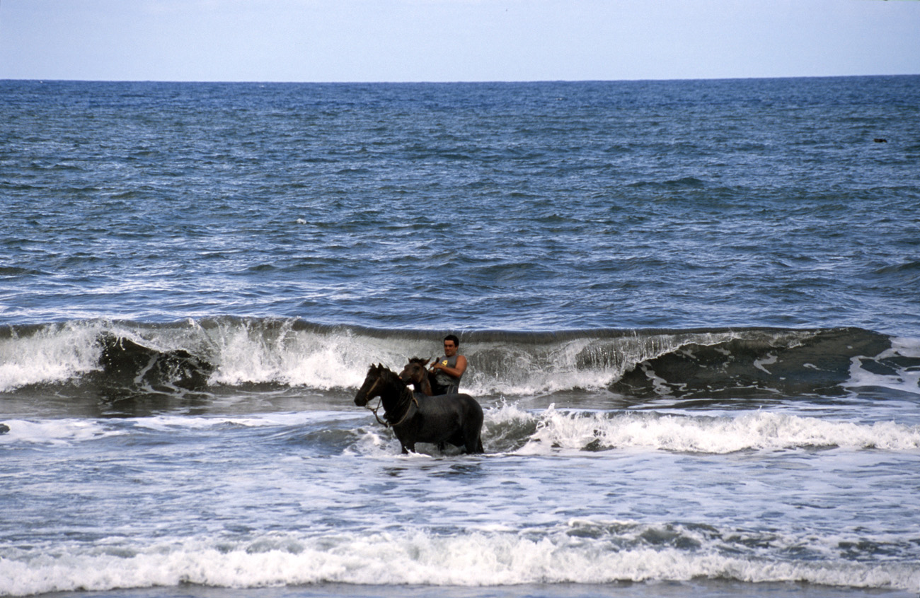 pol05_0363m.jpg - Iles Marquises, Hiva Oa chevaux au bain