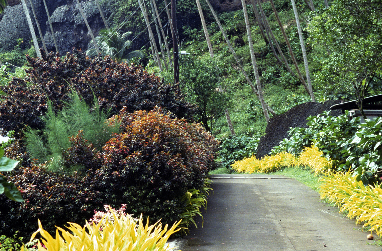 pol05_0396m.jpg - Iles Marquises, Fatu Hiva l'unique petite route d'Hanavave, dans un décor enchanteur