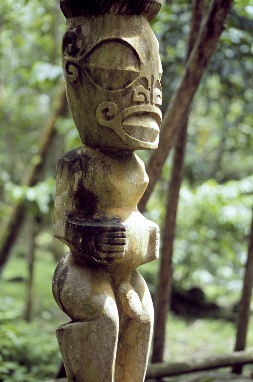 pol05_0651m.jpg - Iles Marquises, Nuku Hiva Hatiheu : tiki en bois sur le site du grand meae près des banians