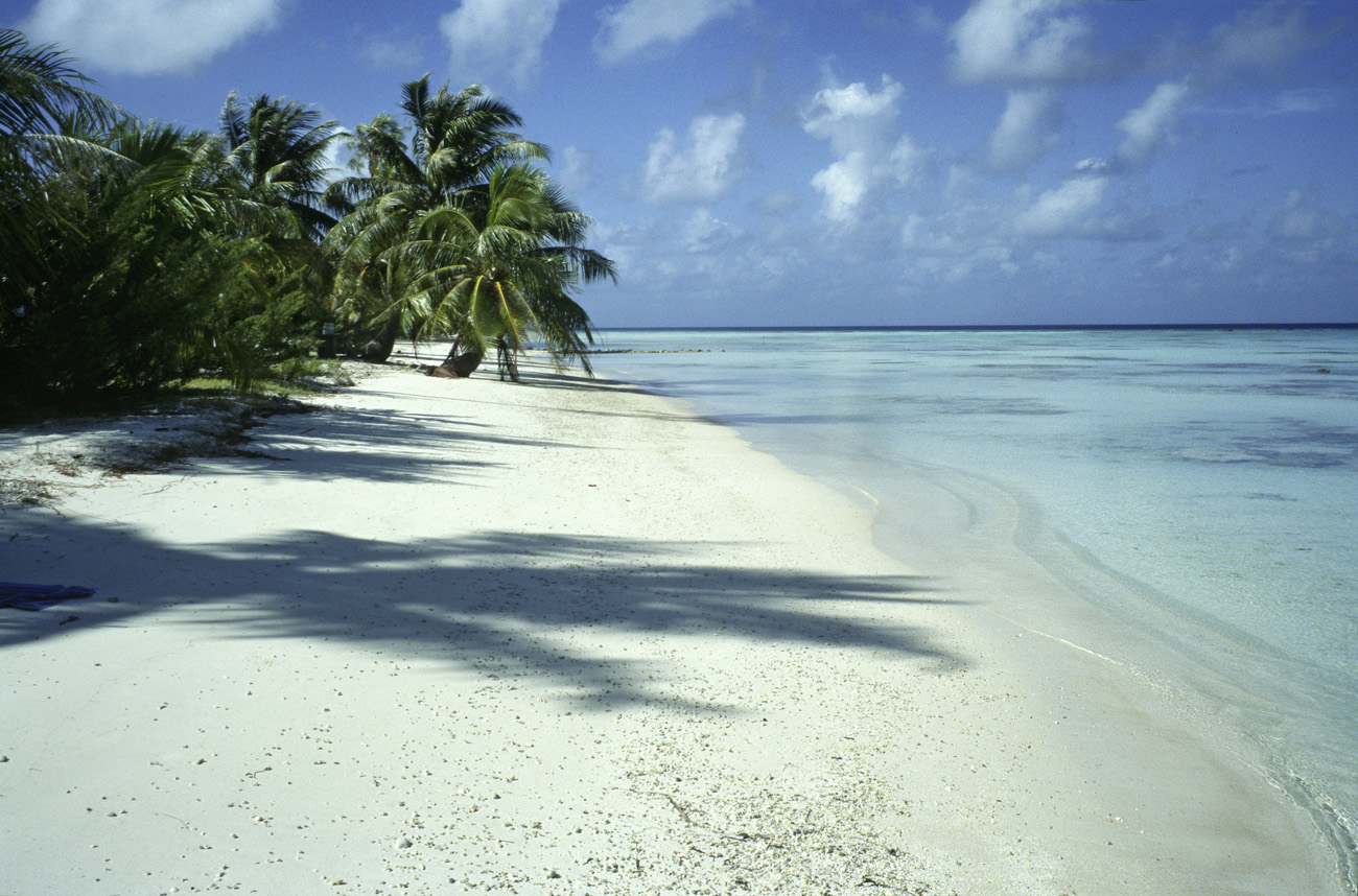 pol05_0768l.jpg - Tuamotu, Fakarava lagon de rêve