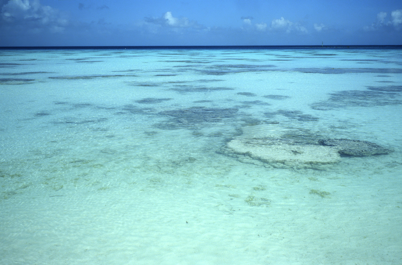 pol05_0769l.jpg - Tuamotu, Fakarava lagon de rêve