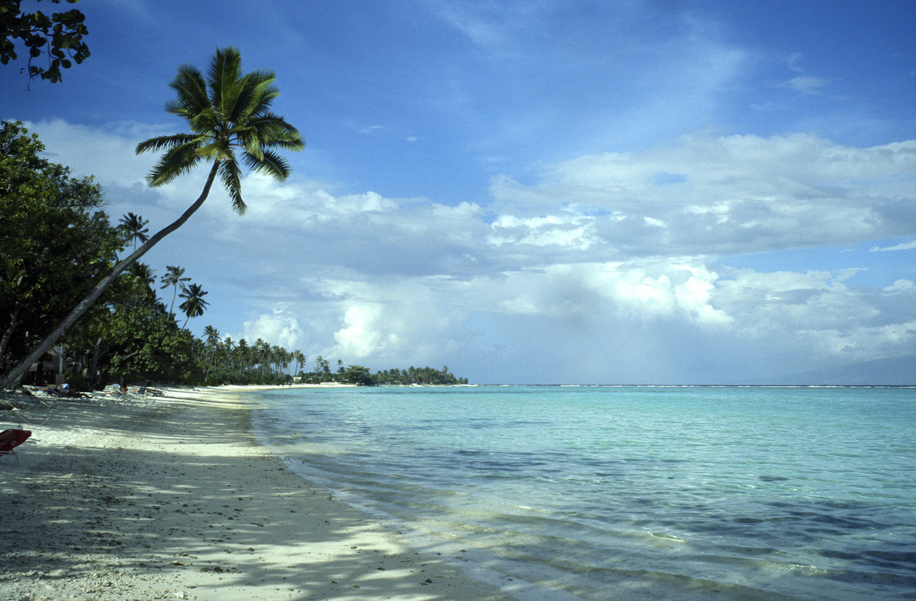 pol05_0810l.jpg - Iles de la Société, Moorea Près du Sofitel Ia Ora, la plage et la baie de Nuarei