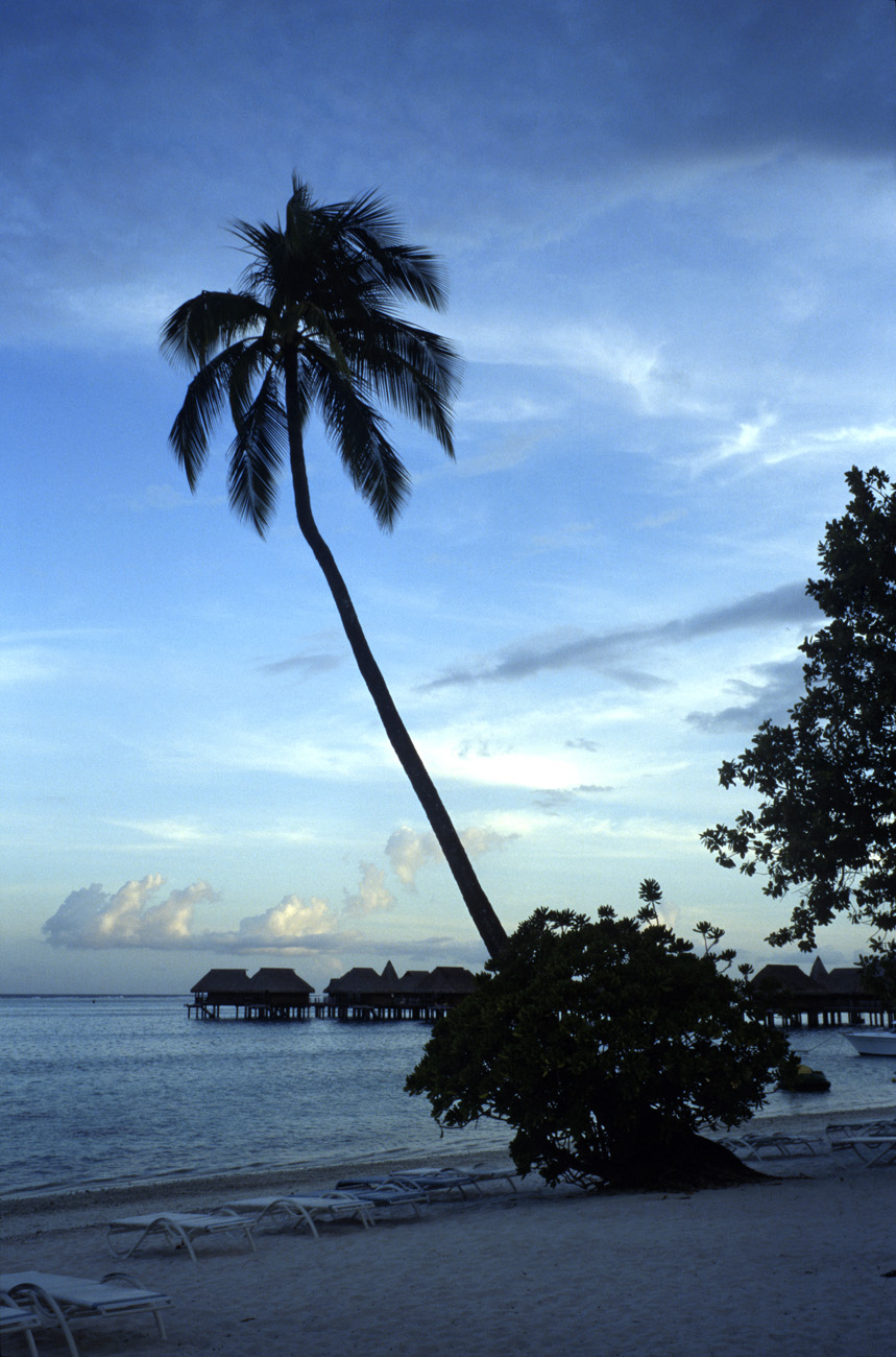 pol05_0819l.jpg - Iles de la Société, Moorea Sofitel Ia Ora