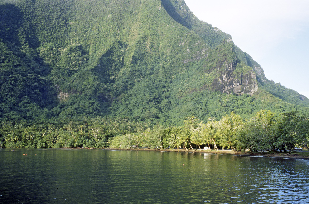 pol05_0836l.jpg - Iles de la Société, Moorea baie de Cook, au-dessous du pic Rotui, au lever du soleil