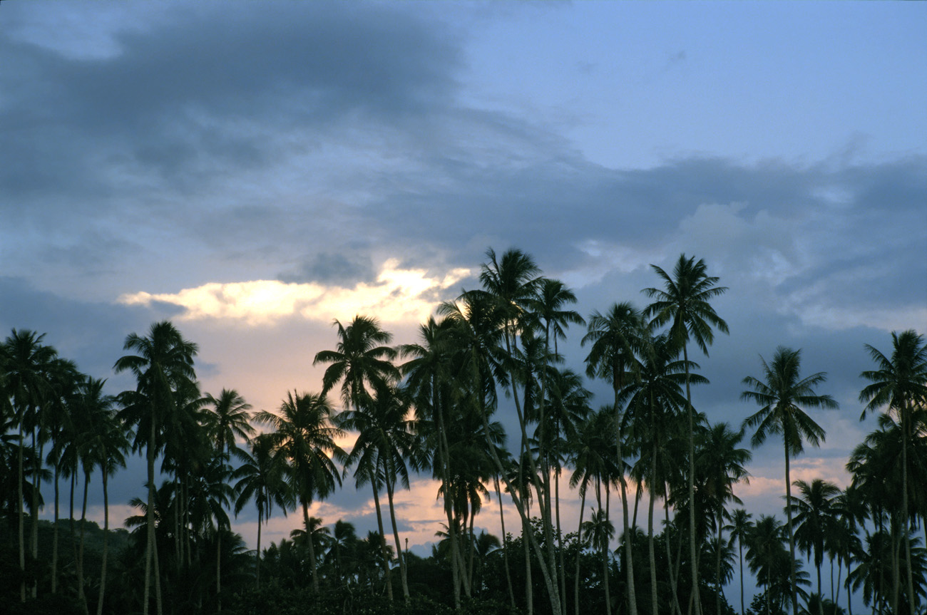 pol05_0852l.jpg - Iles de la Société, Moorea coucher de soleil sur la côte Ouest, à quelques km de Haapiti
