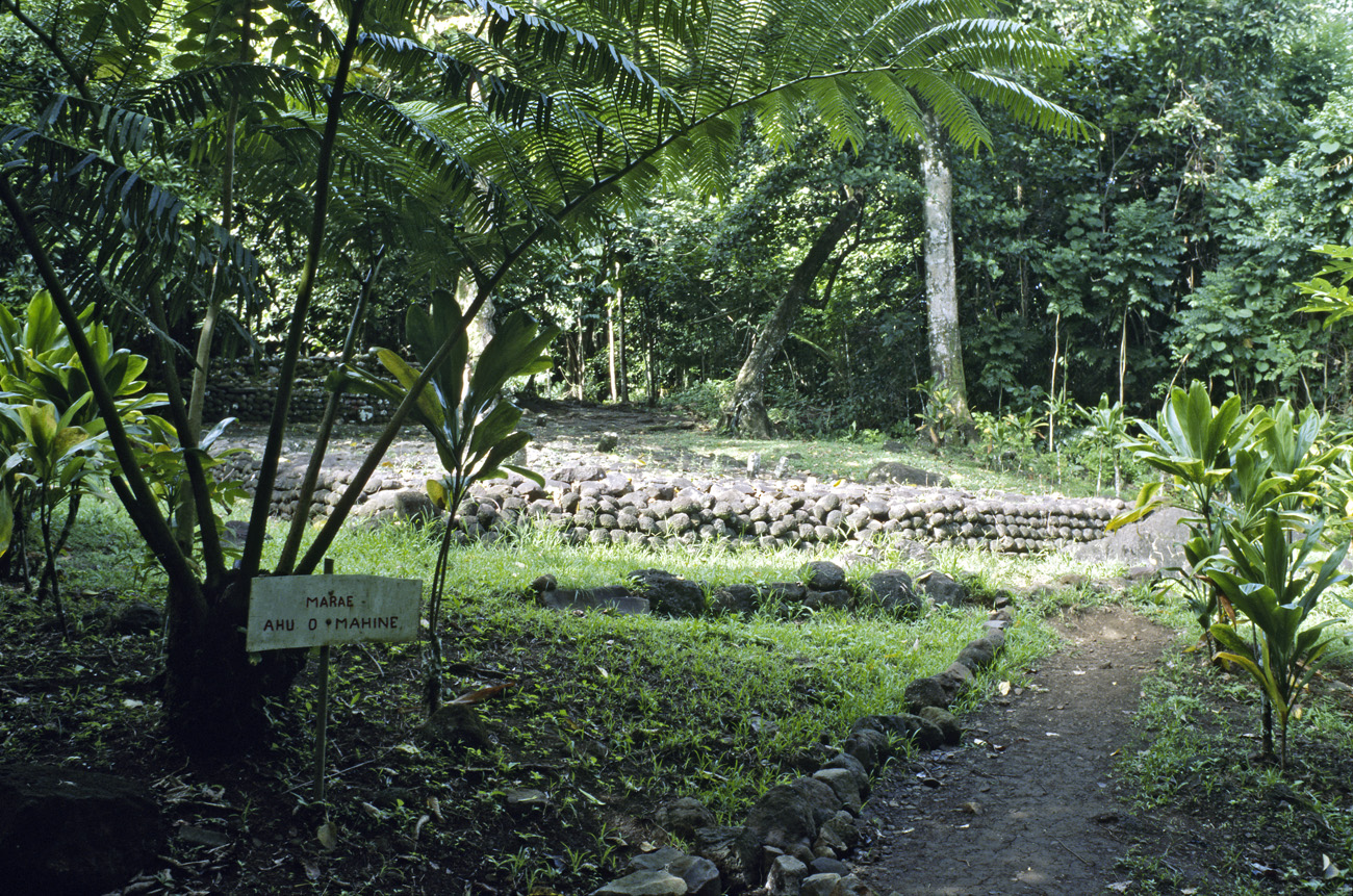 pol05_0867l.jpg - Iles de la Société, Moorea marae de Titiroa