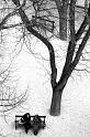fr08-02-15_043-nb-neige