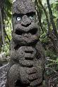 nz12-02-01_096-z