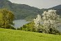 adriatic08-05-17_040