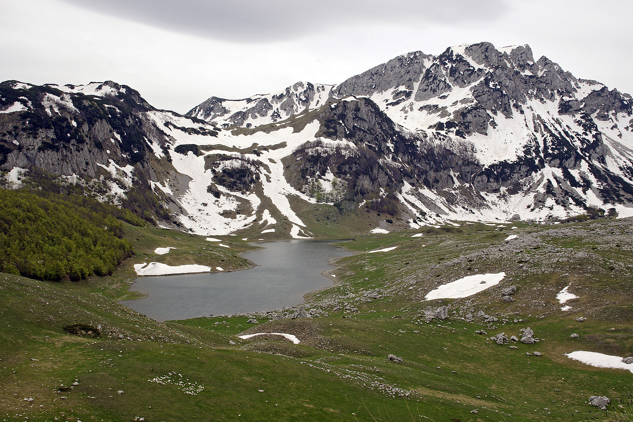 adriatic08-05-18_015.jpg - 18/05/2008 Montenegro - Nord,  parc du Durmitor 